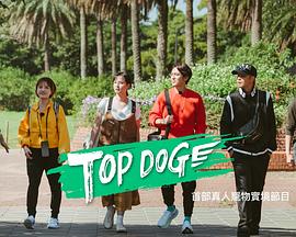 加藤视频《TOP DOG》免费在线观看