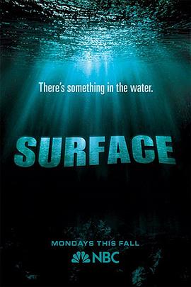 加藤视频《水下之秘 Surface》免费在线观看